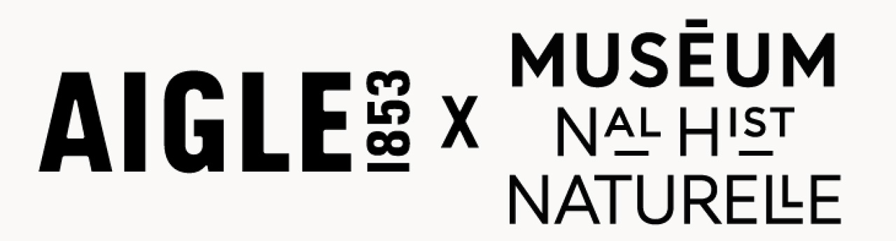Aigle x Muséum National d'Histoire Naturelle